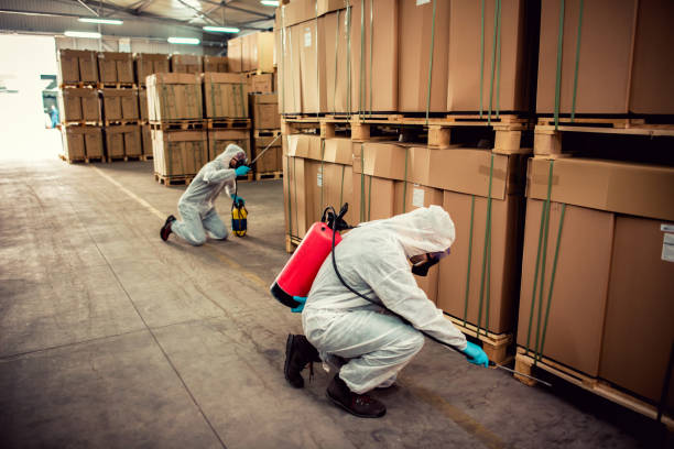 Best Rat Extermination Near Me  in Lacon, IL
