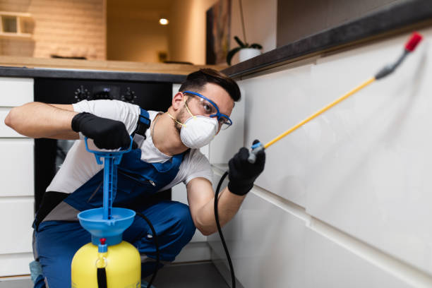 Flea Control Services in Lacon, IL