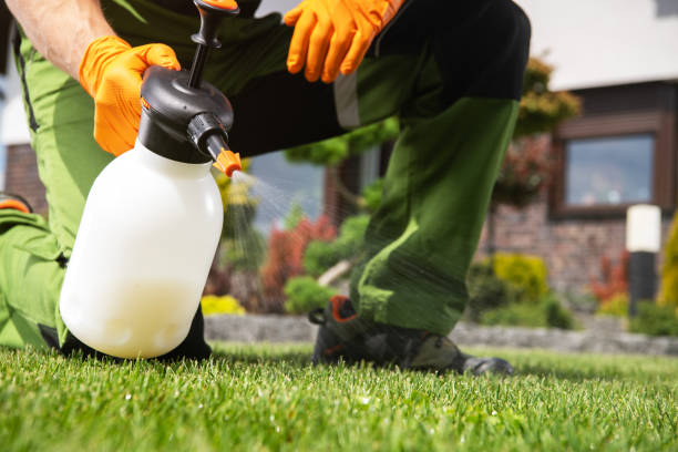 Best Spider Control Near Me  in Lacon, IL
