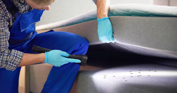 Best Best Pest Control Companies  in Lacon, IL