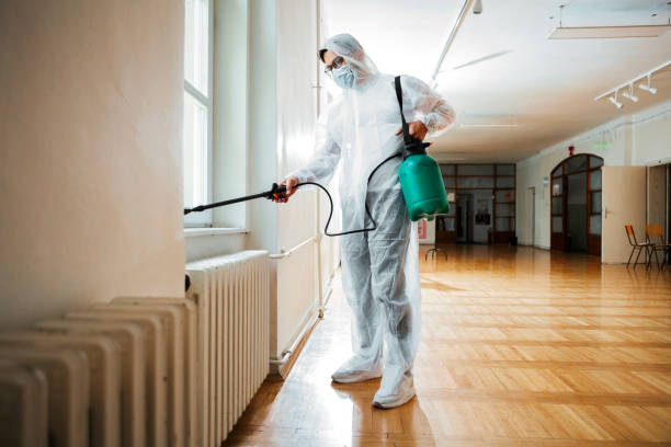 Best Exterminator Services  in Lacon, IL